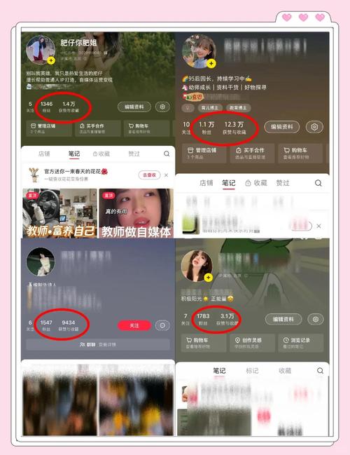 标题:快手涨粉秘籍大公开:一元解锁千粉关注,低成本引爆账号人气指南