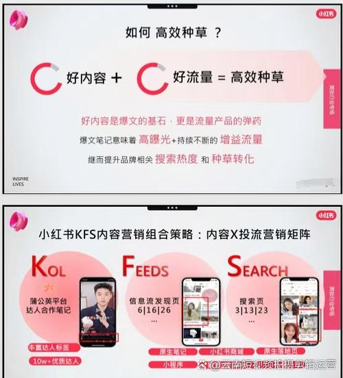 标题:小红书点赞助力秘籍:从零到爆单,解锁流量密码的实战攻略