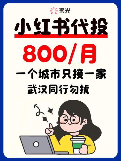 标题：小红书粉丝增长新捷径：一站式平台助你轻松破圈，解锁流量密码