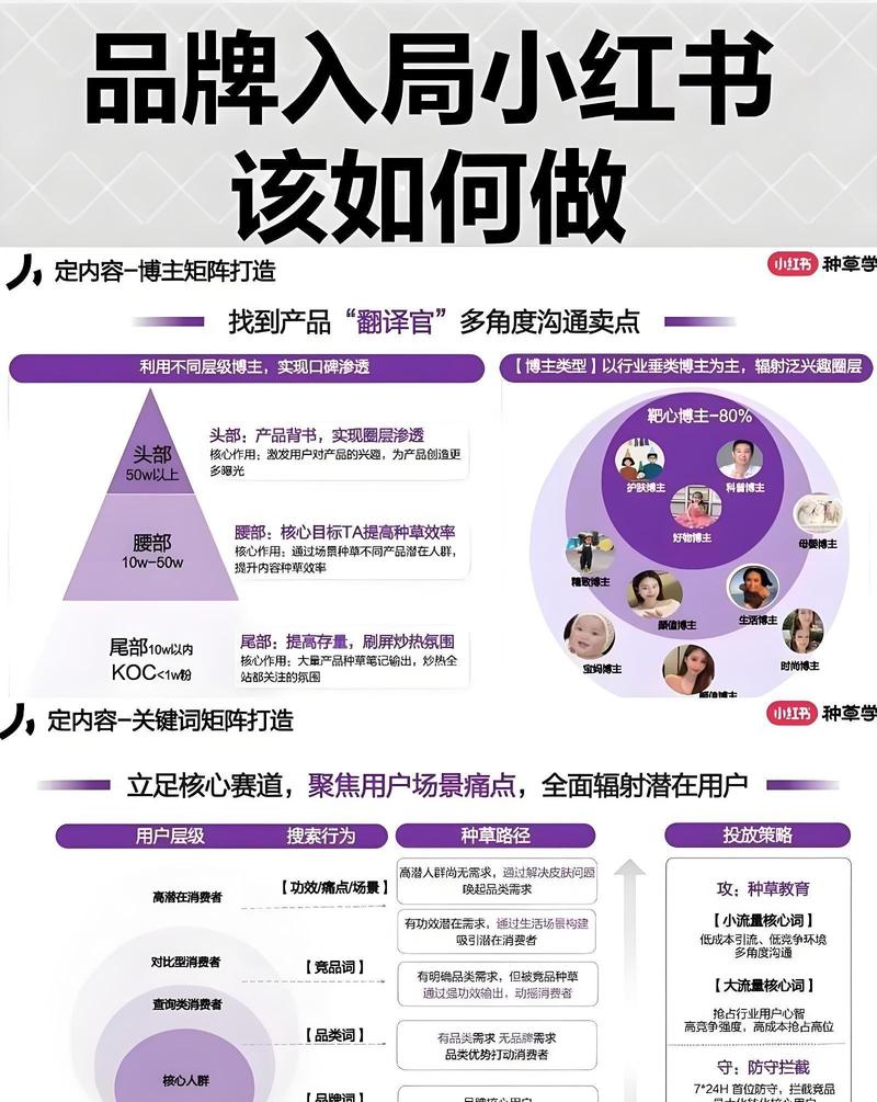 标题:从1到1万+:我在小红书的破圈成长与下一站星辰大海