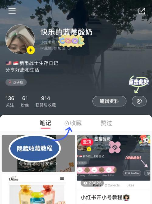 想要更多关注?试试在小红书上通过点赞自助下单增加人气吧!