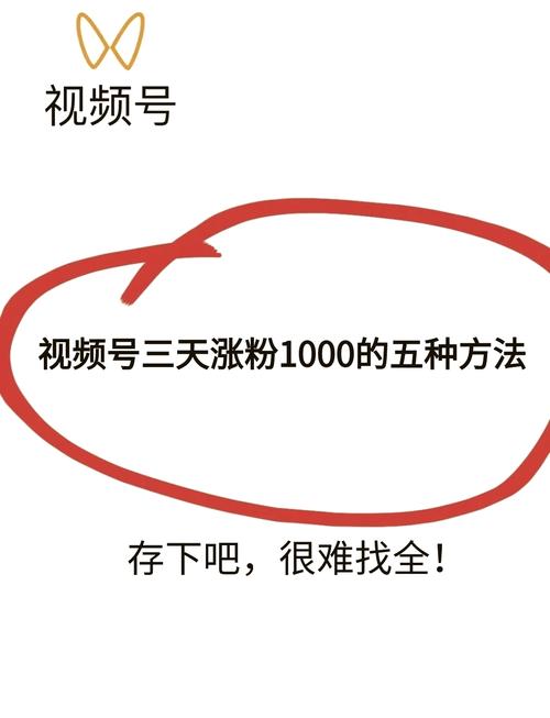 标题:小红书吸粉全攻略:从0到10W+粉丝的实战技巧大揭秘