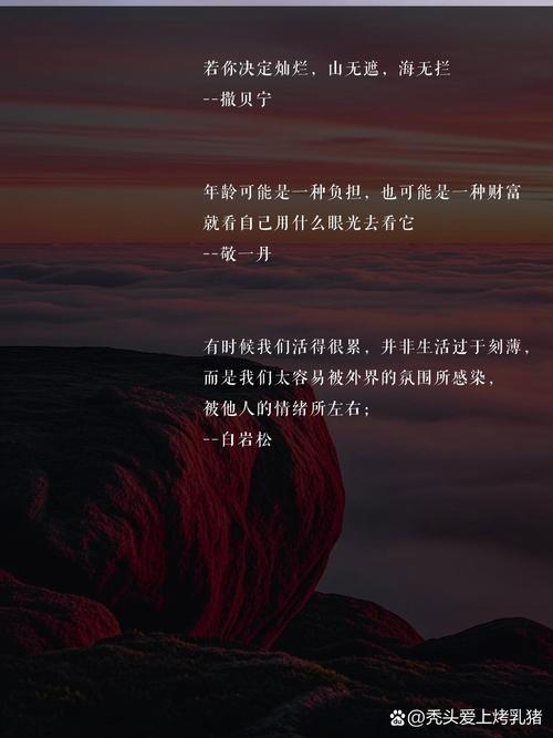 # 警惕!刷取B站播放量是自毁前程的歧途,真实增长才是王道