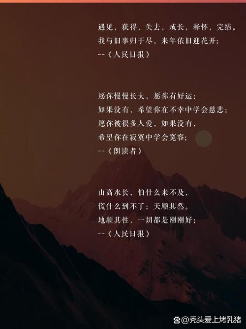 # 警惕!刷取B站播放量是自毁前程的歧途,真实增长才是王道