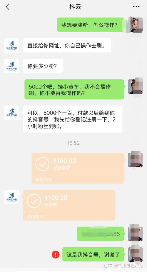 抖友进阶指南:如何高效安全地购买粉丝?