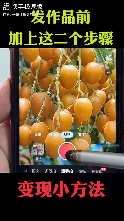 快手热门视频的秘诀揭晓：背后的刷播放量平台大解密！