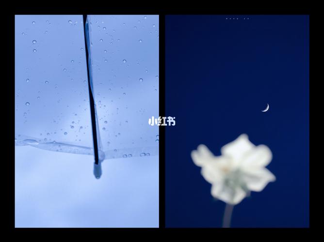 标题:虚假繁荣下的暗涌:小红书粉丝经济的泡沫与危机