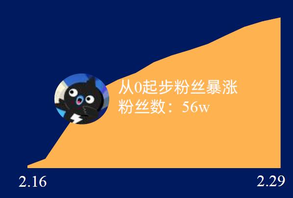 # 警惕!所谓“B站有效代刷粉丝”的陷阱与正确涨粉之道