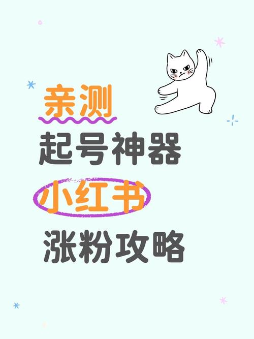 小红书粉丝增长攻略:专业买粉丝平台推荐!