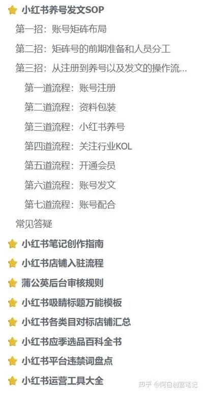 标题：小红书粉丝增长新捷径：专业购买平台助力内容破圈，解锁流量密码