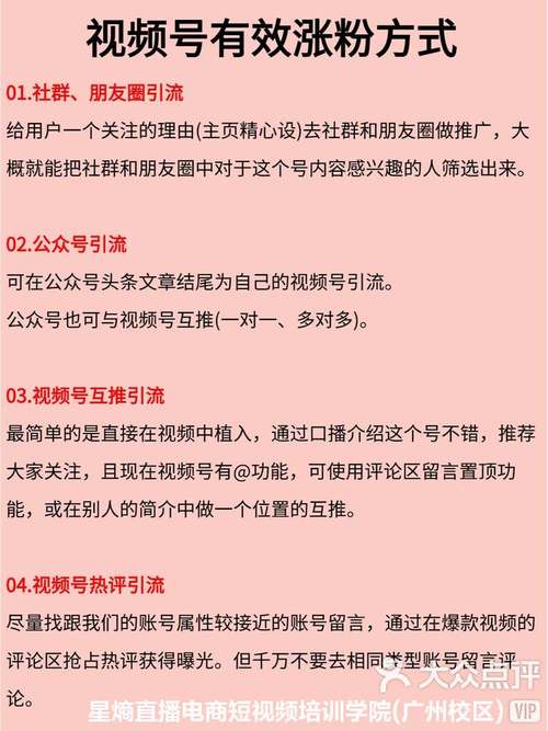 标题:视频号粉丝激增实战指南:7天突破1000有效粉的精准运营策略