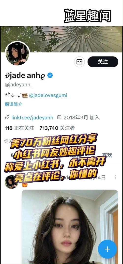 小红书买粉链接使用心得分享，助力你成为网红之路